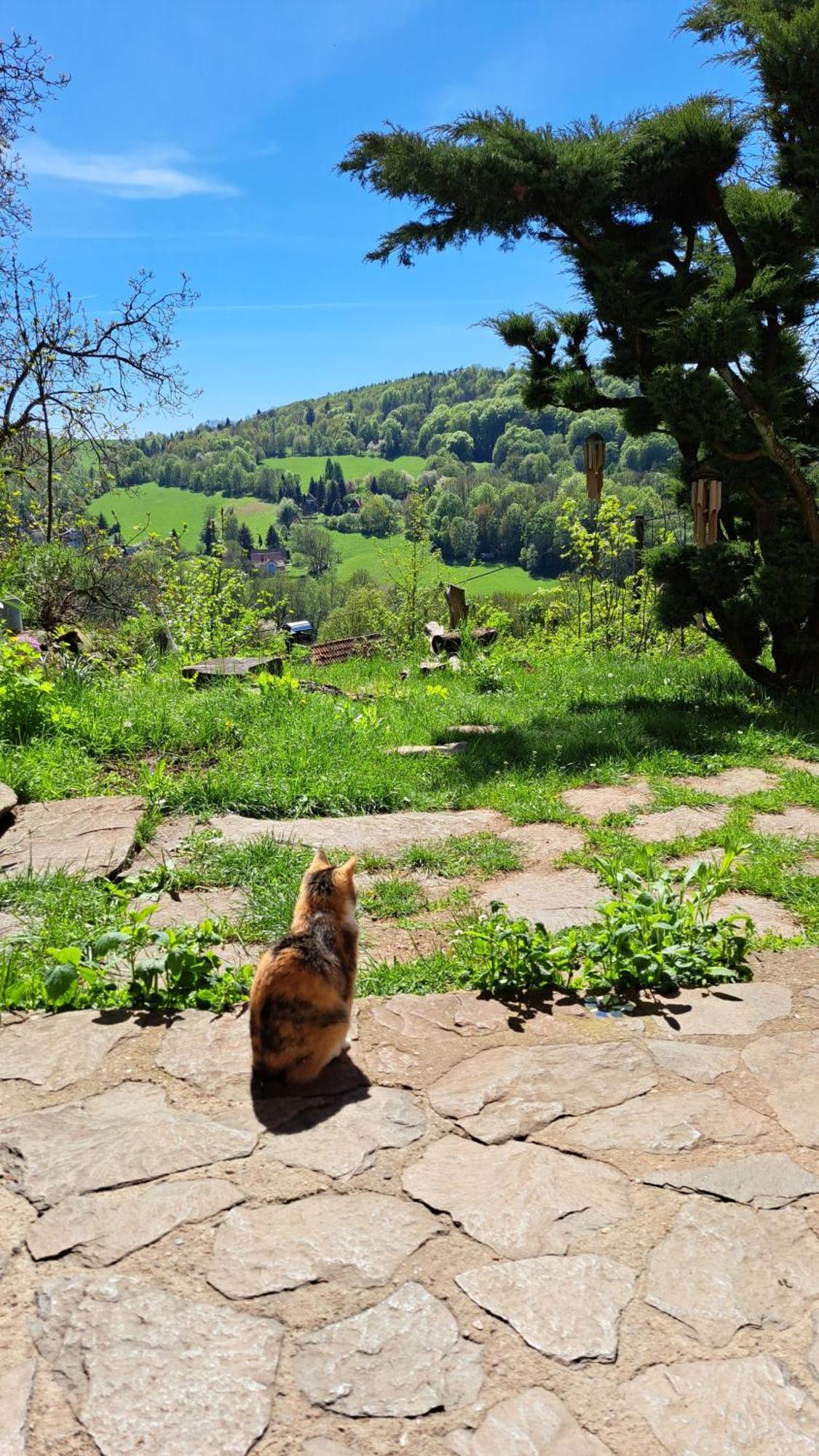 Radja Hobit Penzion Malecov Bagian luar foto